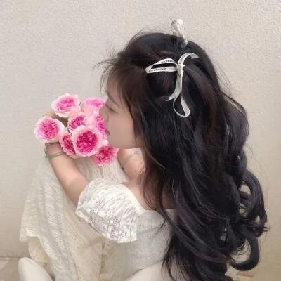 红野菊